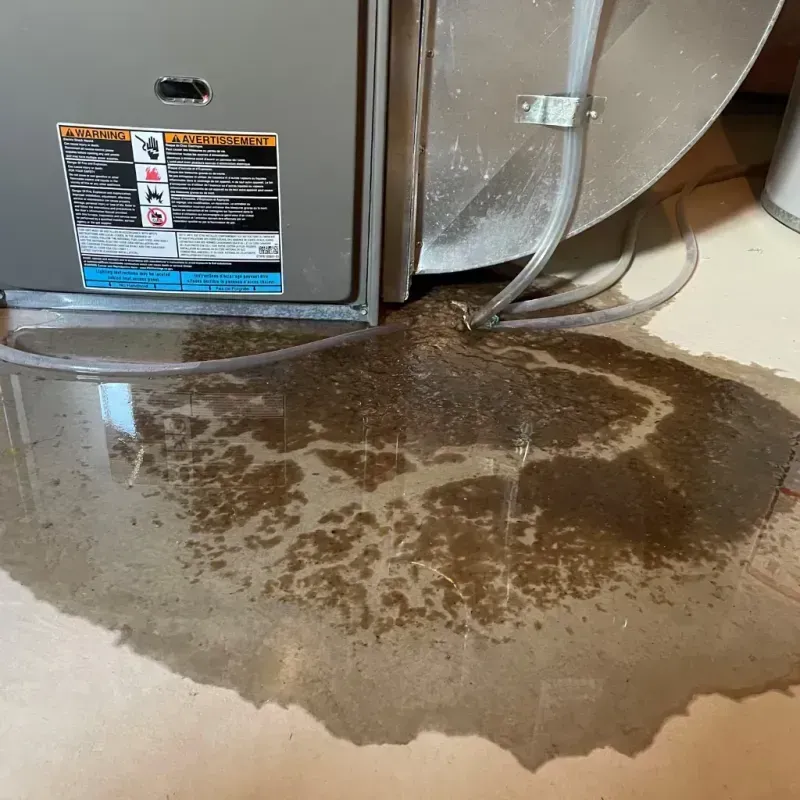 Appliance Leak Cleanup in Cape May, NJ